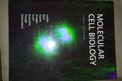 Livres / littérature : Molecular Cell Biology
