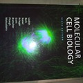 Livres / littérature : Molecular Cell Biology