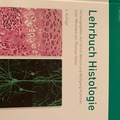 Libri / letteratura : Lehrbuch Histologie