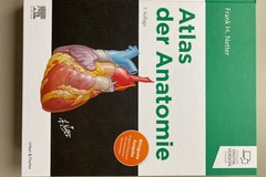Libri / letteratura : Netter Atlas der Anatomie