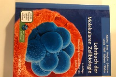 Livres / littérature : Molekulare Zellbiologie