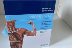 Fiches: Prometheus Lernkarten Anatomie
