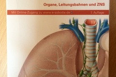 Scheda di schedario: Sobotta Organe, Leitungsbahnen und ZNS